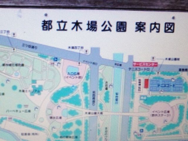 ����_�؏����