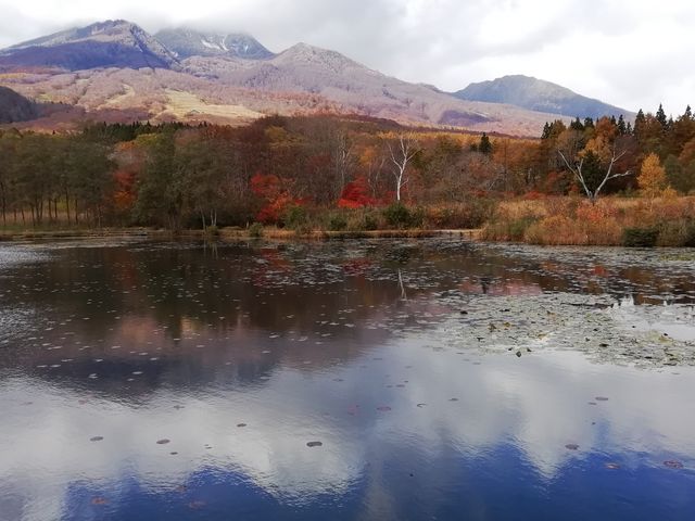 ��������t�������R_���������i������r�j