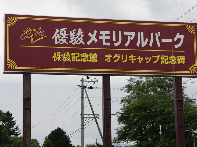 ����_�D�x�������A���p�[�N