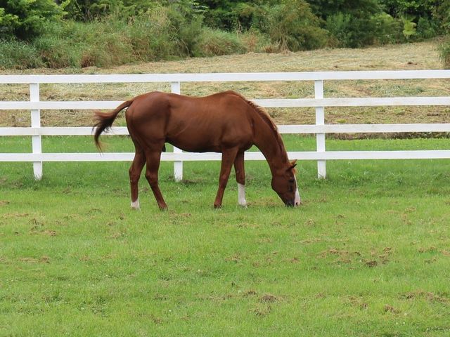 �}���m�g�b�v�K��_�D�x�������A���p�[�N