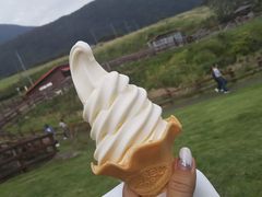 񂳂̃KW[t@[ւ̓eʐ^1