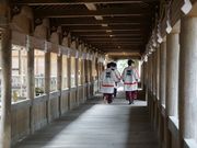 񂳂̐zKЏЖ{{̓eʐ^6