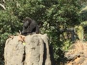 suzȕ쓮 SEg̏ZސX̓eʐ^1