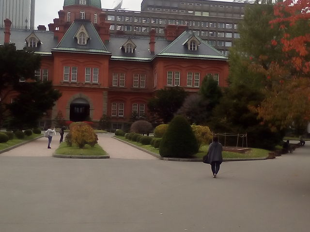 ���̃��b�V�����͔����������悢�ł��B_�k�C�������{����(�Ԃ�񂪒���)