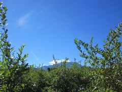 ҂҂낳̏ъόu[x[ւ̓eʐ^1