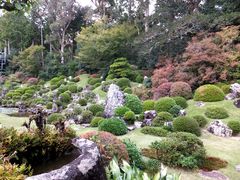 ☆浜松龍潭寺庭園柄 薄グレー地 銘入り訪問着 五つ紋 袷着物 美品