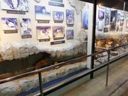 ڂ炳̗⓴Aق̓eʐ^1