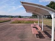 񂿂񂳂͔̊Ȍ̓eʐ^1