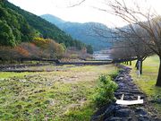 ˂񂳂̉HJ񂾂̓eʐ^3