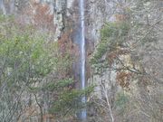 akane̕Ďqezs̓eʐ^1