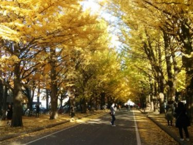 ��Ǖ���_�k��C�`���E����