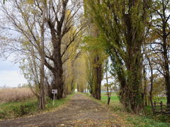 ~X^[oUC̖k|v؂ւ̓eʐ^1