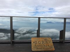 poporon̗XL[p[Nւ̓eʐ^1