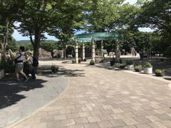 Ȃׂ̍ĉ݂m̌ΔȌւ̓eʐ^1