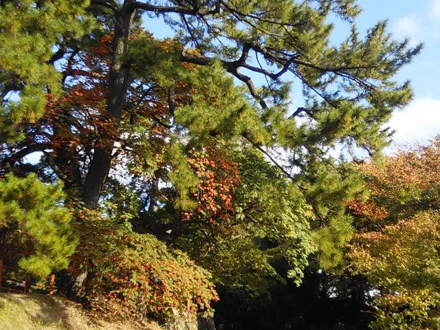 �g�t_���q��뉀