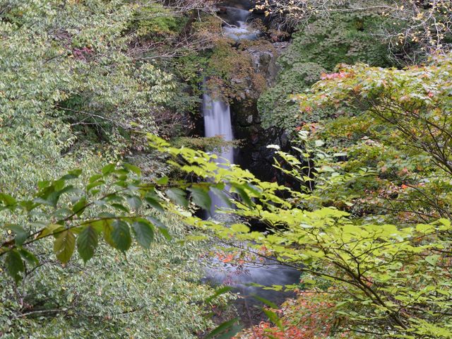 XY[ĂȊłBłmɍgt͂ꂢEEEB_̑