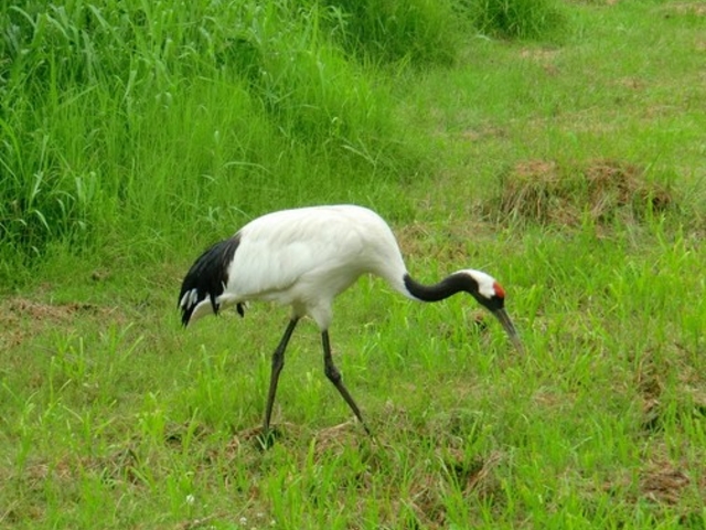 �O���ߎ��R����