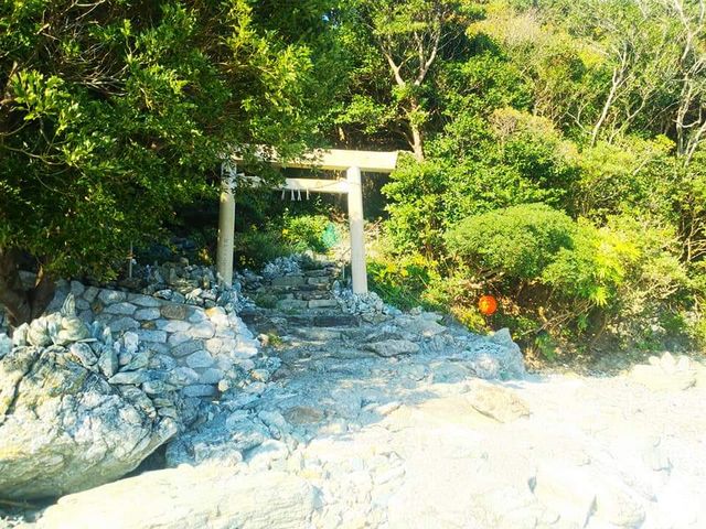 ����_�Ɏ˔g�_��