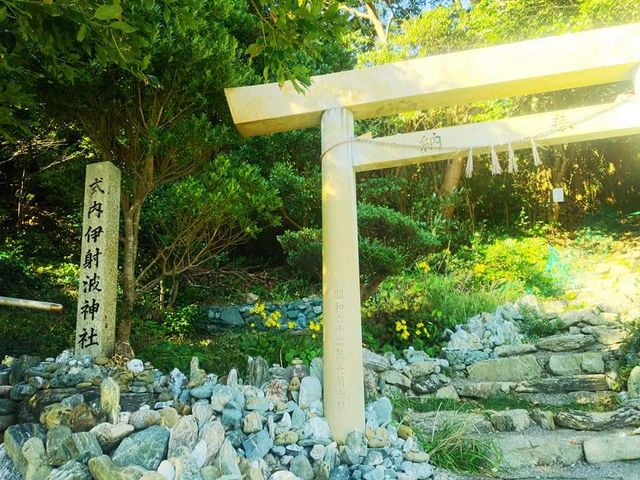 ����_�Ɏ˔g�_��