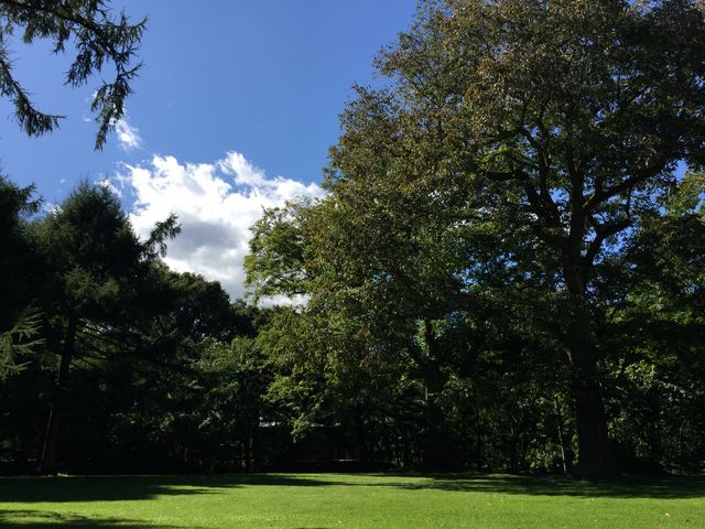 ����_�k�C����w�A����