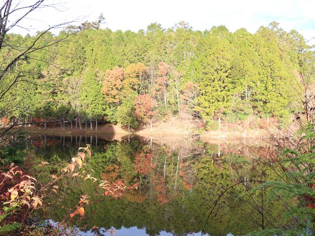 �i�ˌ�_�i�˗��J�����т����̐X