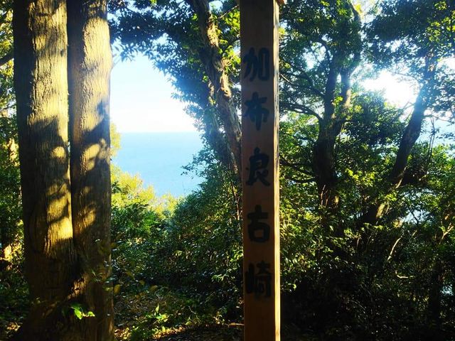 11��17��_�Ɏ˔g�_��