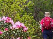 x̕xmʃPx̃VNiQ̓eʐ^1