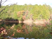 E102̒i˗Jт̐X̓eʐ^1