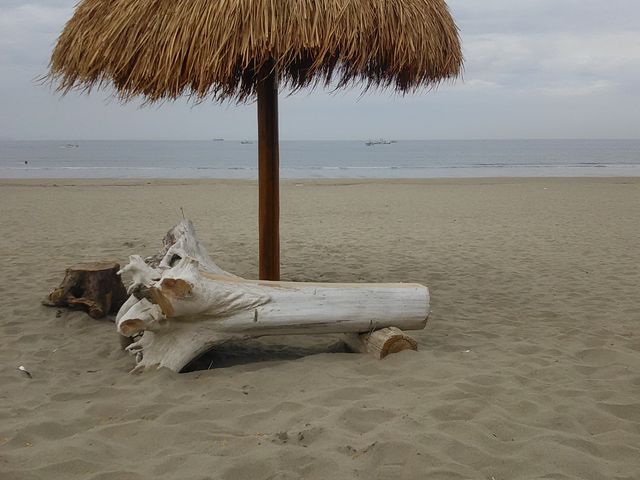 ���΂炭���͋C�΂���̂ЂƋx�݃X�|�b�g�ɍ��|���ĊC�𒭂߂Ă܂����B_��̉Y�C������