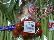 䂤̓̉w Lǂ񂮂葺̓eʐ^1