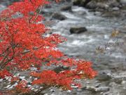 ݂т񂹂̓̉w l\吳̓eʐ^1