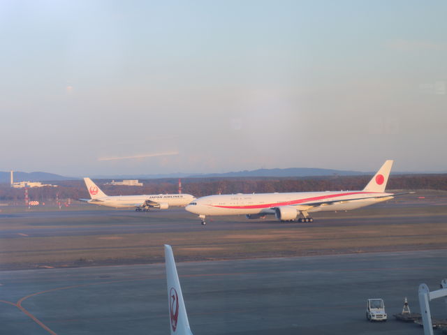 ����_�V��΋�` �W�]�f�b�L