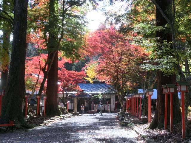 ܂܂ς񂾂̍gt̓eʐ^2