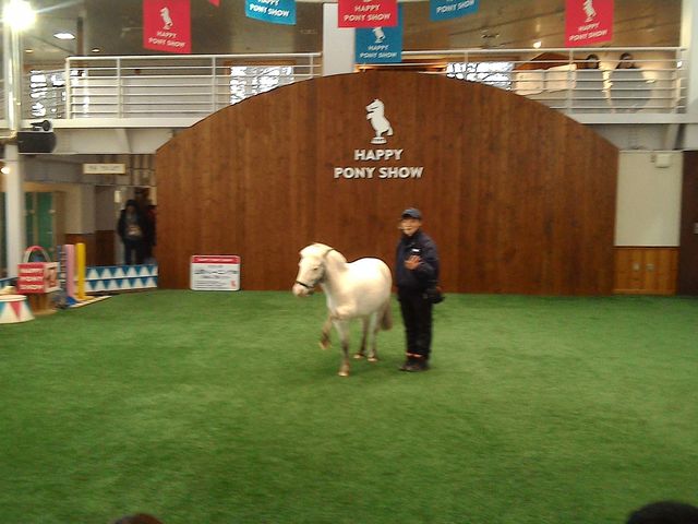 �Z�T�~�����_�m�[�U���z�[�X�p�[�N