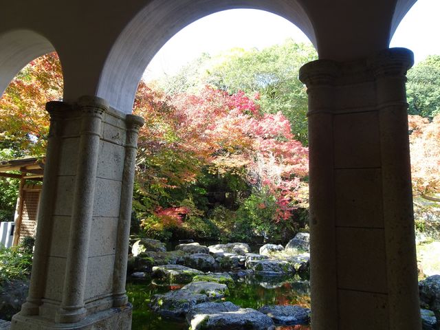 ���낪�܂��������B_�A�T�q�r�[����R��R�����p��