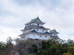 ڂ炳̘a̎Rւ̓eʐ^1