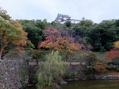 ڂ炳̘a̎Rւ̓eʐ^1