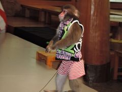 ���h���܂킵����̎ʐ^2