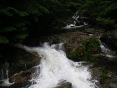 悵̉vKChNuւ̓eʐ^1