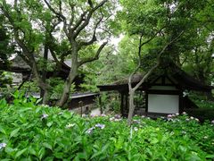 michiru̓X_Ђւ̓eʐ^1