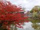 こぼらさんの紅葉渓庭園の投稿写真1