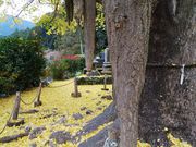 m̌򎛂̎qC`E̓eʐ^2