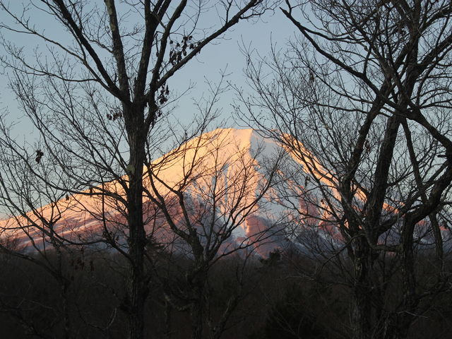 ���Ă��ŐԂ����܂����x�m�R
_�R���Ή���@�u�g�x�m�̓��v