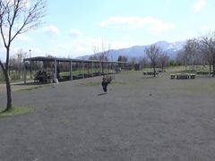 �O�c�X�ь����̎ʐ^1