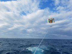 @CoCoMarineւ̓eʐ^1