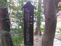 kuriyumi̒ʓViΐyjւ̓eʐ^2