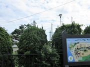 񂳂̏qXg[p[N̓eʐ^5