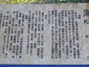 ÐhF̖؍C__Ђ̓eʐ^6