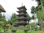 ������񂳂�̖��鎛�i�V�������n�s�j�̓��e�ʐ^2