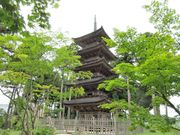 ������񂳂�̖��鎛�i�V�������n�s�j�̓��e�ʐ^3